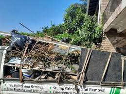 Best Basement Cleanout  in Tysons, VA